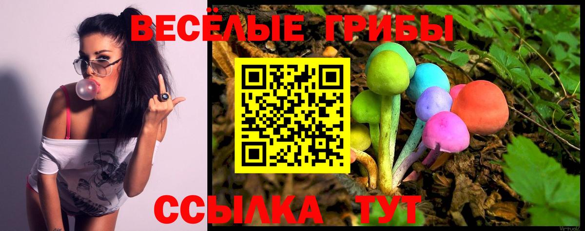 Саратов  Псилоцибиновые грибы ЛСД  наркотики  Галлюциногенные грибы мухоморы  Вход с VPN 