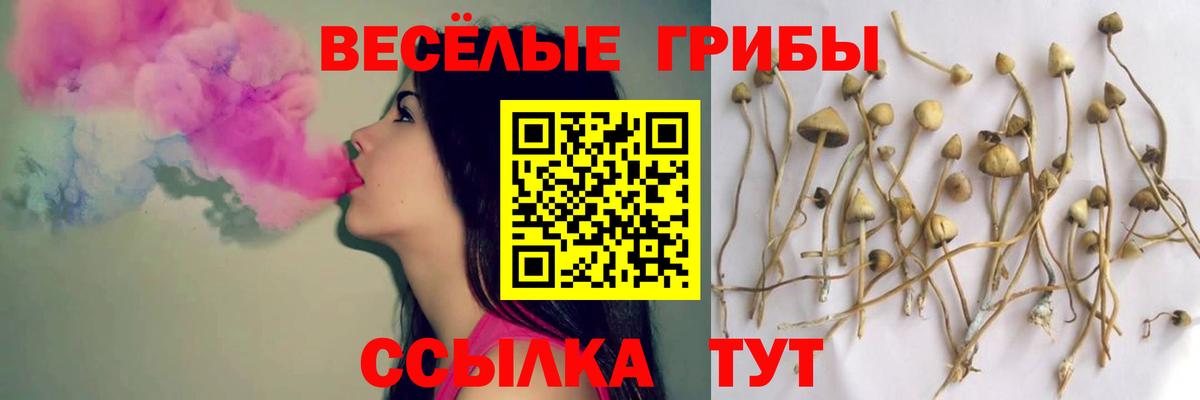 Галлюциногенные грибы прущие грибы Саратов